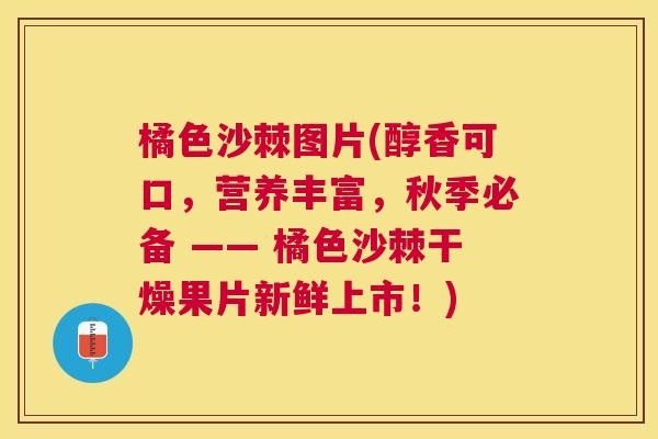 橘色沙棘图片(醇香可口，营养丰富，秋季必备 —— 橘色沙棘干燥果片新鲜上市！)