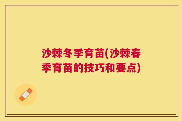 沙棘冬季育苗(沙棘春季育苗的技巧和要点)
