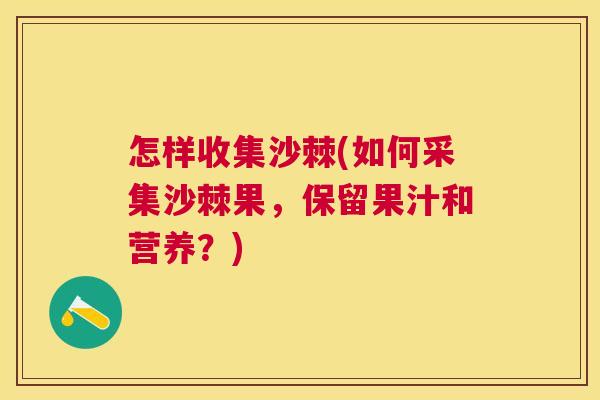 怎样收集沙棘(如何采集沙棘果，保留果汁和营养？)