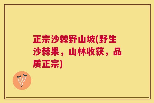 正宗沙棘野山坡(野生沙棘果，山林收获，品质正宗)