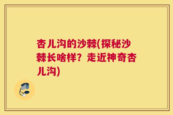 杏儿沟的沙棘(探秘沙棘长啥样？走近神奇杏儿沟)