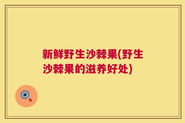 新鲜野生沙棘果(野生沙棘果的滋养好处)