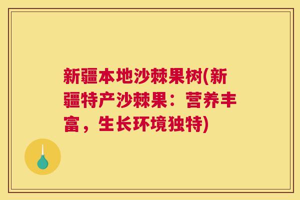 新疆本地沙棘果树(新疆特产沙棘果：营养丰富，生长环境独特)