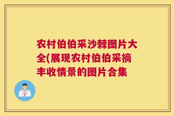 农村伯伯采沙棘图片大全(展现农村伯伯采摘丰收情景的图片合集