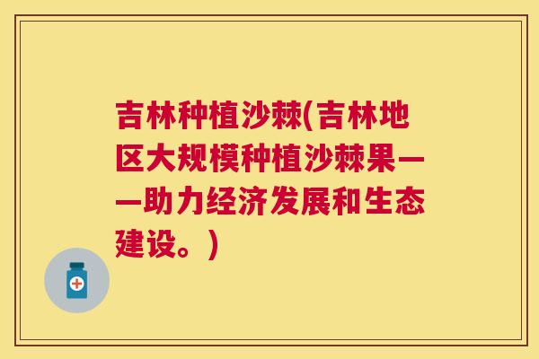 吉林种植沙棘(吉林地区大规模种植沙棘果——助力经济发展和生态建设。)