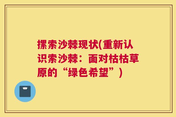摞索沙棘现状(重新认识索沙棘：面对枯枯草原的“绿色希望”)