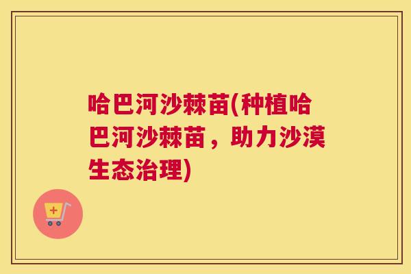 哈巴河沙棘苗(种植哈巴河沙棘苗，助力沙漠生态治理)