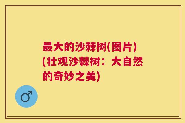 最大的沙棘树(图片)(壮观沙棘树：大自然的奇妙之美)