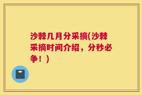 沙棘几月分采摘(沙棘采摘时间介绍，分秒必争！)
