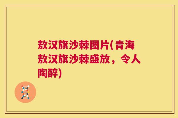 敖汉旗沙棘图片(青海敖汉旗沙棘盛放，令人陶醉)