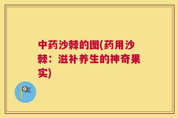 中药沙棘的图(药用沙棘：滋补养生的神奇果实)