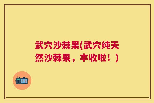 武穴沙棘果(武穴纯天然沙棘果，丰收啦！)