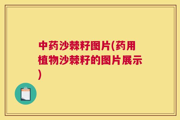 中药沙棘籽图片(药用植物沙棘籽的图片展示)