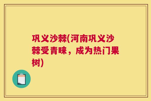 巩义沙棘(河南巩义沙棘受青睐，成为热门果树)