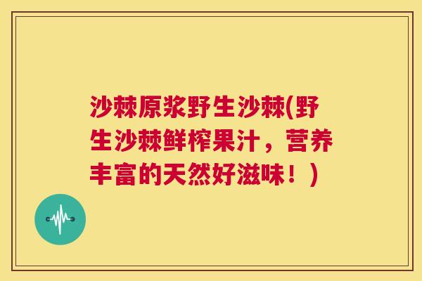 沙棘原浆野生沙棘(野生沙棘鲜榨果汁，营养丰富的天然好滋味！)