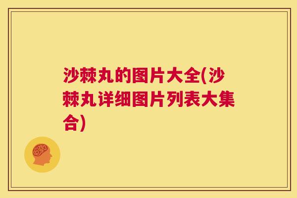 沙棘丸的图片大全(沙棘丸详细图片列表大集合)