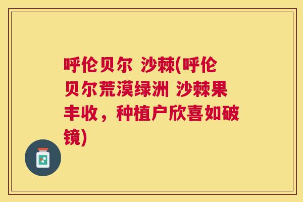 呼伦贝尔 沙棘(呼伦贝尔荒漠绿洲 沙棘果丰收，种植户欣喜如破镜)