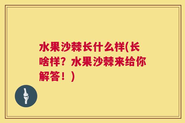 水果沙棘长什么样(长啥样？水果沙棘来给你解答！)