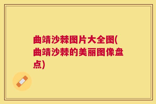 曲靖沙棘图片大全图(曲靖沙棘的美丽图像盘点)