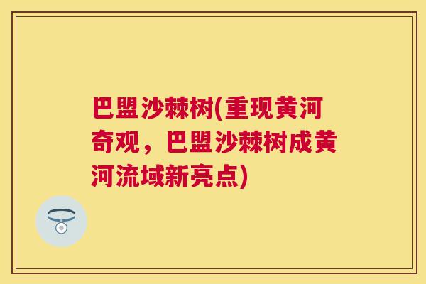 巴盟沙棘树(重现黄河奇观，巴盟沙棘树成黄河流域新亮点)