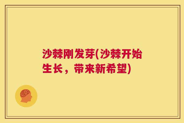 沙棘刚发芽(沙棘开始生长，带来新希望)