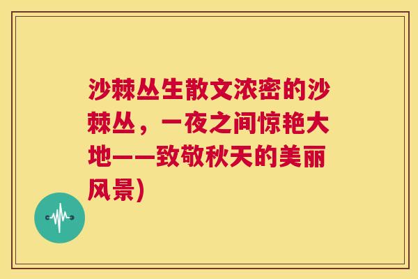 沙棘丛生散文浓密的沙棘丛，一夜之间惊艳大地——致敬秋天的美丽风景)