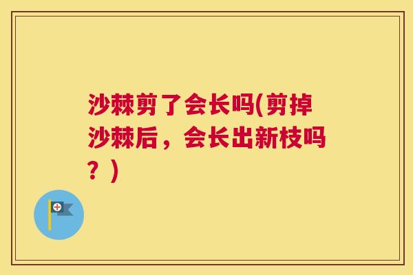 沙棘剪了会长吗(剪掉沙棘后，会长出新枝吗？)