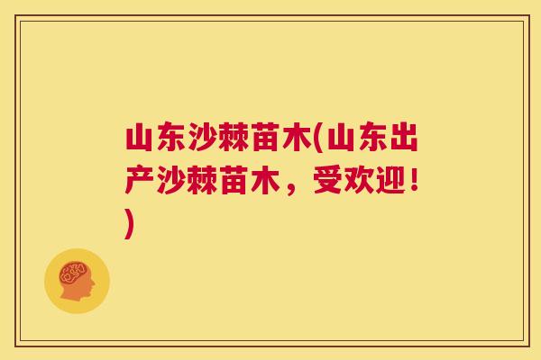山东沙棘苗木(山东出产沙棘苗木，受欢迎！)