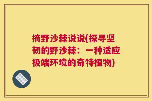 摘野沙棘说说(探寻坚韧的野沙棘：一种适应极端环境的奇特植物)