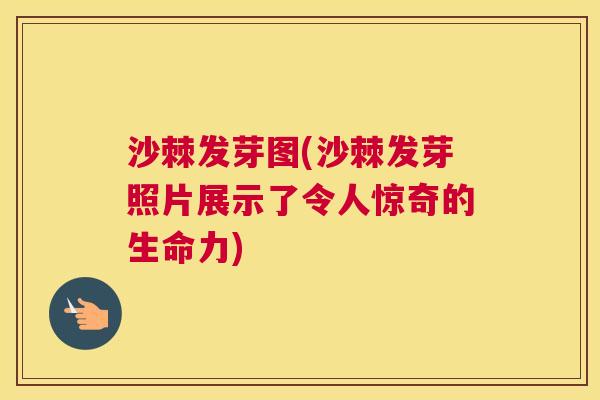沙棘发芽图(沙棘发芽照片展示了令人惊奇的生命力)