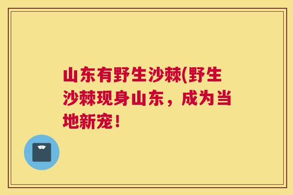 山东有野生沙棘(野生沙棘现身山东，成为当地新宠！