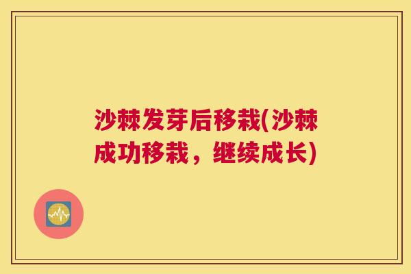 沙棘发芽后移栽(沙棘成功移栽，继续成长)