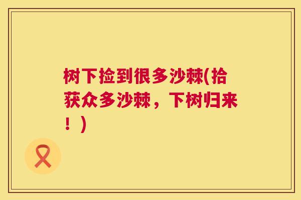 树下捡到很多沙棘(拾获众多沙棘，下树归来！)
