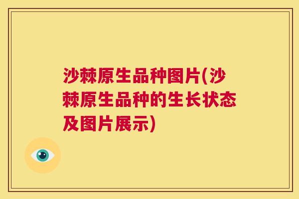 沙棘原生品种图片(沙棘原生品种的生长状态及图片展示)