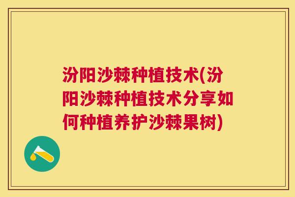 汾阳沙棘种植技术(汾阳沙棘种植技术分享如何种植养护沙棘果树) 汾阳沙棘种植技术(汾阳沙棘种植技术分享如何种植养护沙棘果树)