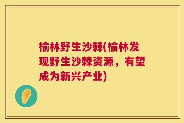 榆林野生沙棘(榆林发现野生沙棘资源,有望成为新兴产业)