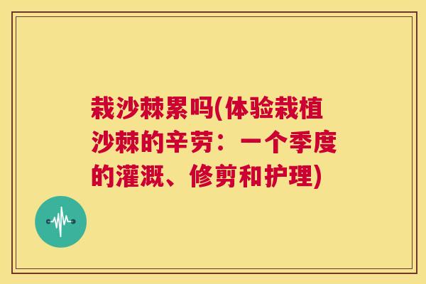 栽沙棘累吗(体验栽植沙棘的辛劳：一个季度的灌溉、修剪和护理)