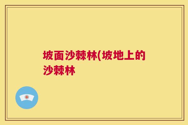 坡面沙棘林(坡地上的沙棘林