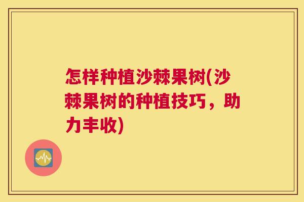 怎样种植沙棘果树(沙棘果树的种植技巧，助力丰收)