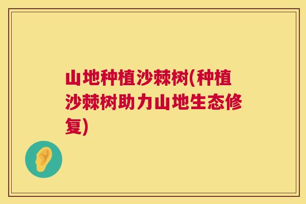 山地种植沙棘树(种植沙棘树助力山地生态修复)
