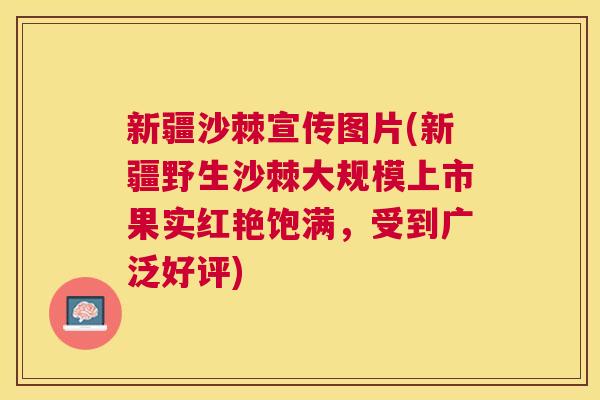 新疆沙棘宣传图片(新疆野生沙棘大规模上市果实红艳饱满，受到广泛好评)