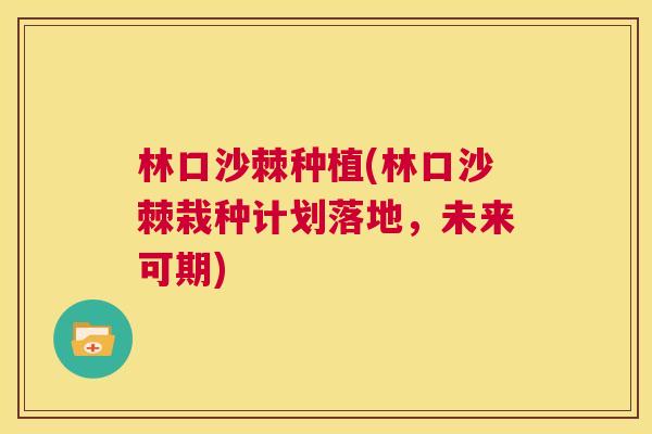 林口沙棘种植(林口沙棘栽种计划落地，未来可期)