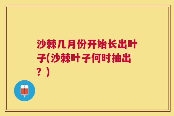 沙棘几月份开始长出叶子(沙棘叶子何时抽出？)