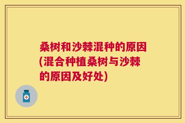桑树和沙棘混种的原因(混合种植桑树与沙棘的原因及好处)