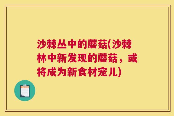 沙棘丛中的蘑菇(沙棘林中新发现的蘑菇，或将成为新食材宠儿)