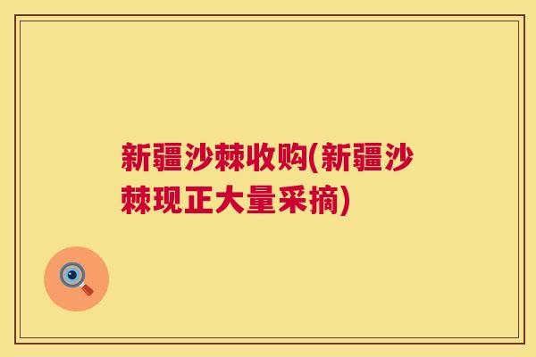 新疆沙棘收购(新疆沙棘现正大量采摘)