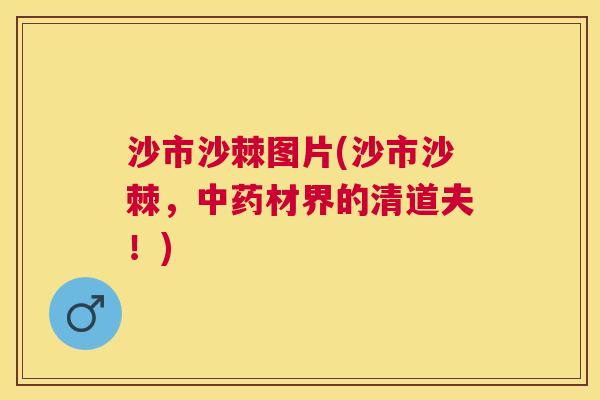 沙市沙棘图片(沙市沙棘,中药材界的清道夫!)