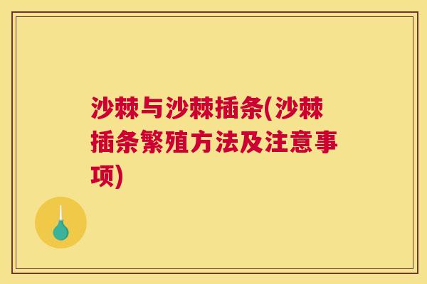 沙棘与沙棘插条(沙棘插条繁殖方法及注意事项)