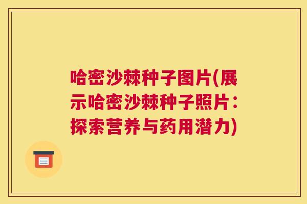 哈密沙棘种子图片(展示哈密沙棘种子照片：探索营养与药用潜力)