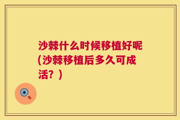 沙棘什么时候移植好呢(沙棘移植后多久可成活？)